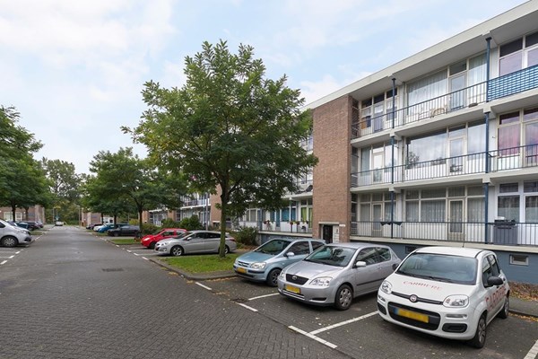 Te huur: Ellewoutsdijkstraat, 3086LC Rotterdam Te huur: Ellewoutsdijkstraat, 3086LC Rotterdam