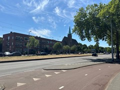 IMG_8554.jpeg