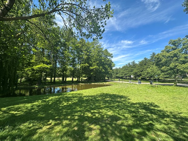 Medium property photo - Stadhoudersweg 153C, 3039 EK Rotterdam