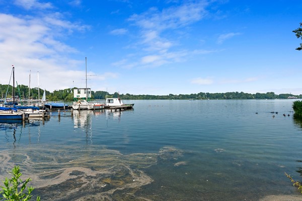 Medium property photo - Kralingse Plaslaan 134, 3061 DH Rotterdam