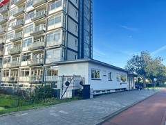 IMG_6884.jpeg