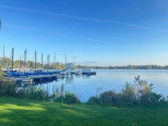IMG_6876.jpeg