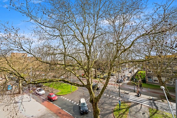 Foto_Hietkamp79_Rotterdam_17.jpg 26