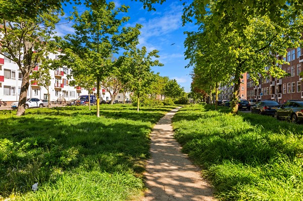Foto_Hogenbanweg130C_Rotterdam_36.jpg 30