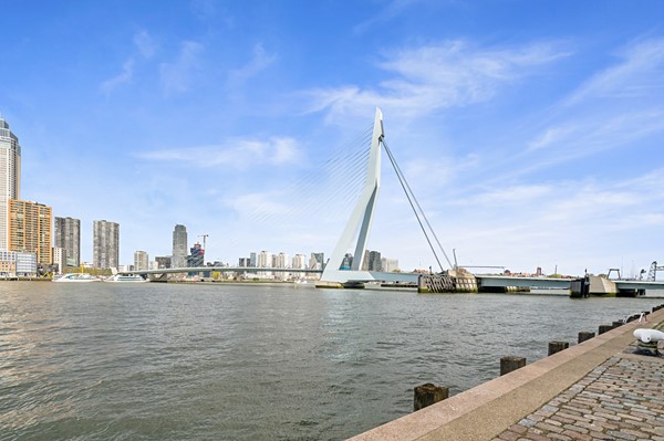 Foto_VanderHoevenplein35_Rotterdam_43.jpg 36