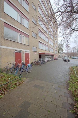 Medium property photo - Molengraaffplantsoen 17, 3571 ZV Utrecht