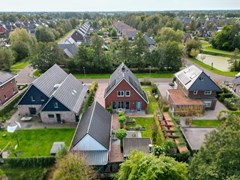 Koppel Paarden-drone_-5.jpg