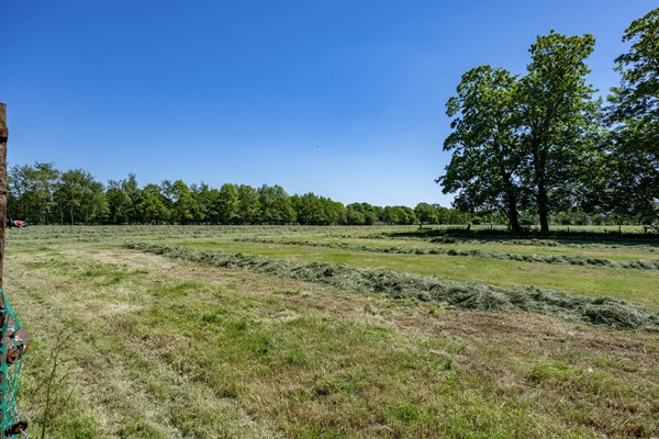 Medium property photo - Ontginningsweg 7, 9865 XA Opende