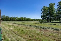 Ontginning_-75.jpg