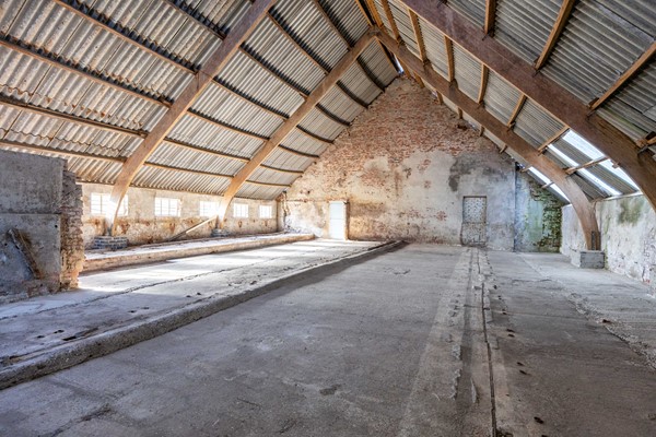 Medium property photo - Provincialeweg 130, 9863 PK Doezum