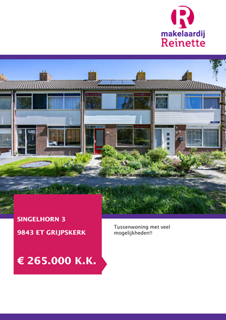 Brochure preview - Singelhorn 3, 9843 ET GRIJPSKERK (1)