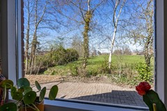 Molenweg-32.jpg