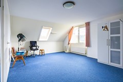 Zwaan-58.jpg