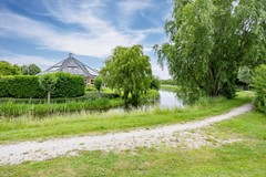 Zwaan-27.jpg