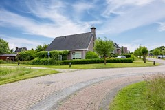 Zwaan-16.jpg