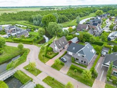 Zwaan-6.jpg