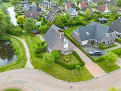 Zwaan-3.jpg