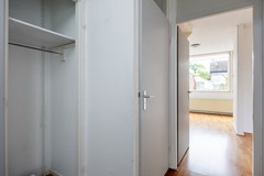 Wilgen_-7.jpg