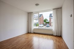Wilgen_-10.jpg