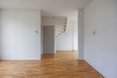 Wilgen_-13.jpg