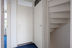 Wilgen_-20.jpg