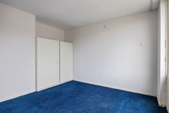 Wilgen_-27.jpg