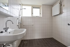 Wilgen_-29.jpg
