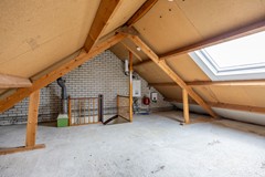 Wilgen_-33.jpg