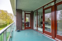 Notoaristuun-51.jpg