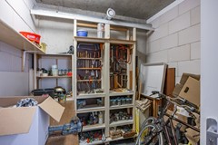 Notoaristuun-64.jpg