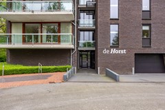 Notoaristuun-21.jpg