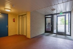 Notoaristuun-23.jpg