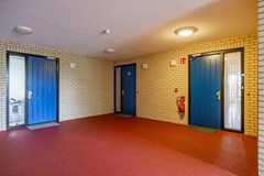 Notoaristuun-26.jpg