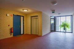 Notoaristuun-27.jpg