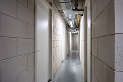 Notoaristuun-63.jpg