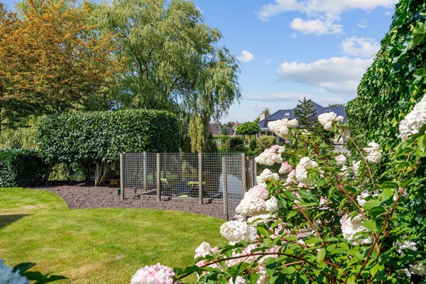 Medium property photo - W F de Boerstraat 30, 9367 RT De Wilp