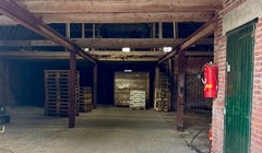 IMG_8521.jpg (1).jpeg