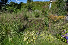 Boelewijk-97.jpg