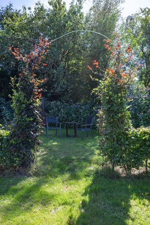 Medium property photo - Boelewijk 5, 9367 TP De Wilp