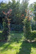 Boelewijk-99.jpg