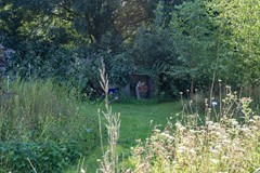 Boelewijk-104.jpg