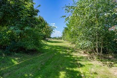 Boelewijk-108.jpg