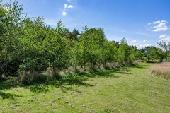 Boelewijk-112.jpg
