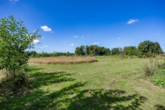 Boelewijk-113.jpg