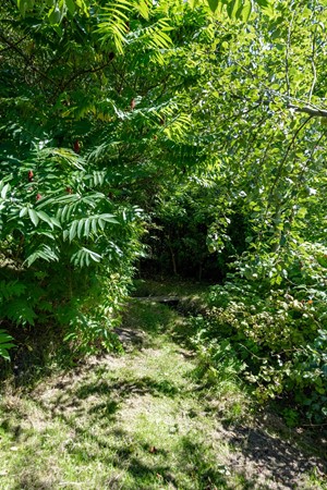 Medium property photo - Boelewijk 5, 9367 TP De Wilp
