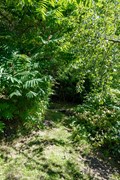 Boelewijk-115.jpg