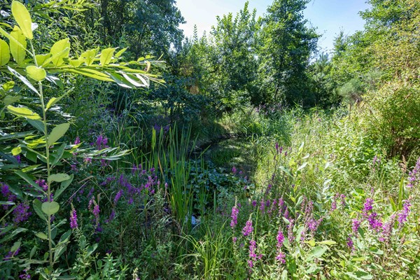 Medium property photo - Boelewijk 5, 9367 TP De Wilp