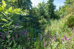 Boelewijk-117.jpg