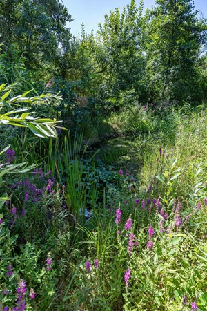 Medium property photo - Boelewijk 5, 9367 TP De Wilp