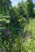 Boelewijk-118.jpg
